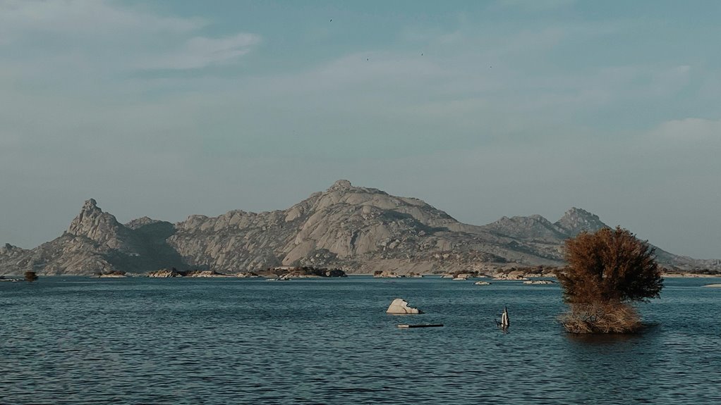 counterclaim definition and examples