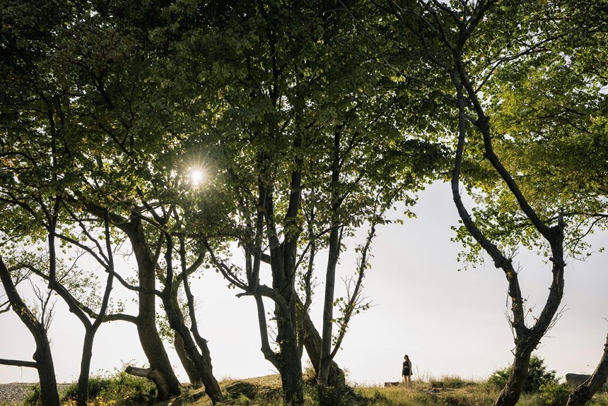 multinational caller identification lookup